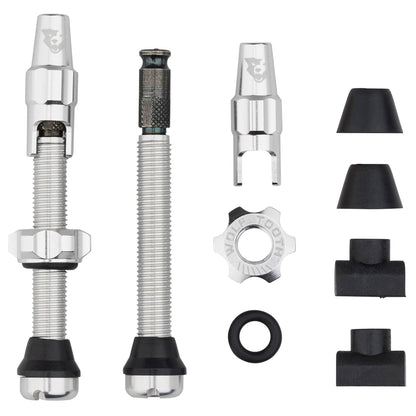 Tubeless Valve Stem Kit for Clik Valve 44mm Raw Silver