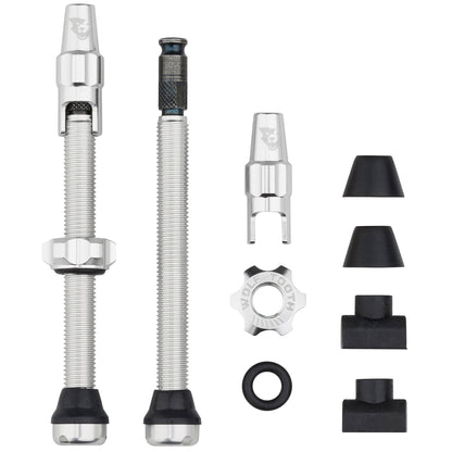 Tubeless Valve Stem Kit for Clik Valve 60mm Raw Silver