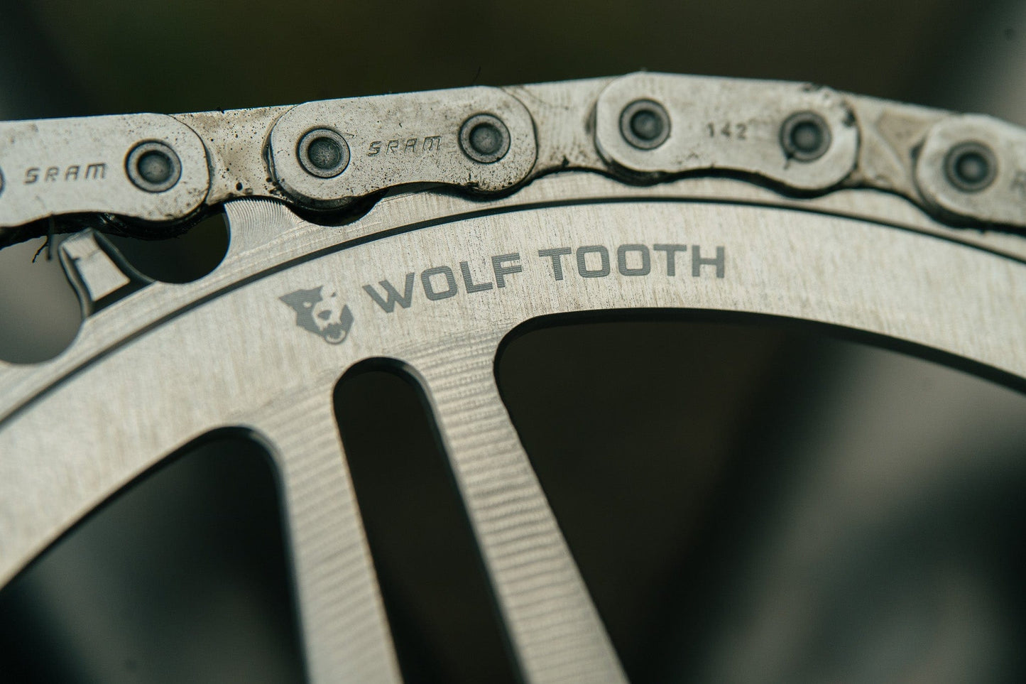 Direct Mount Chainrings for SRAM 8-Bolt Mountain Cranks - Raw Silver