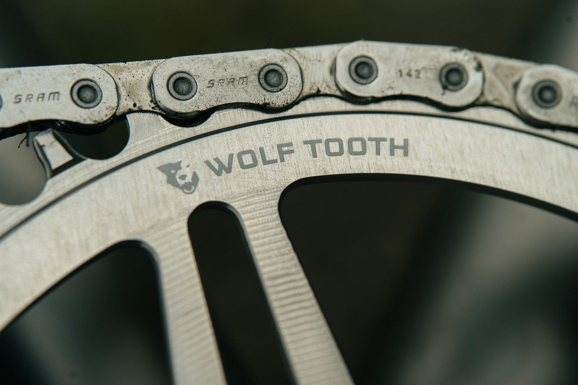 Direct Mount Chainrings for SRAM 8-Bolt Mountain Cranks - Raw Silver