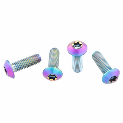 Titanium Water Bottle Cage Bolts Low Profile Head Oil Slick 4 pc.