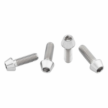 Titanium Water Bottle Cage Bolts Standard Head Raw 4 pc.