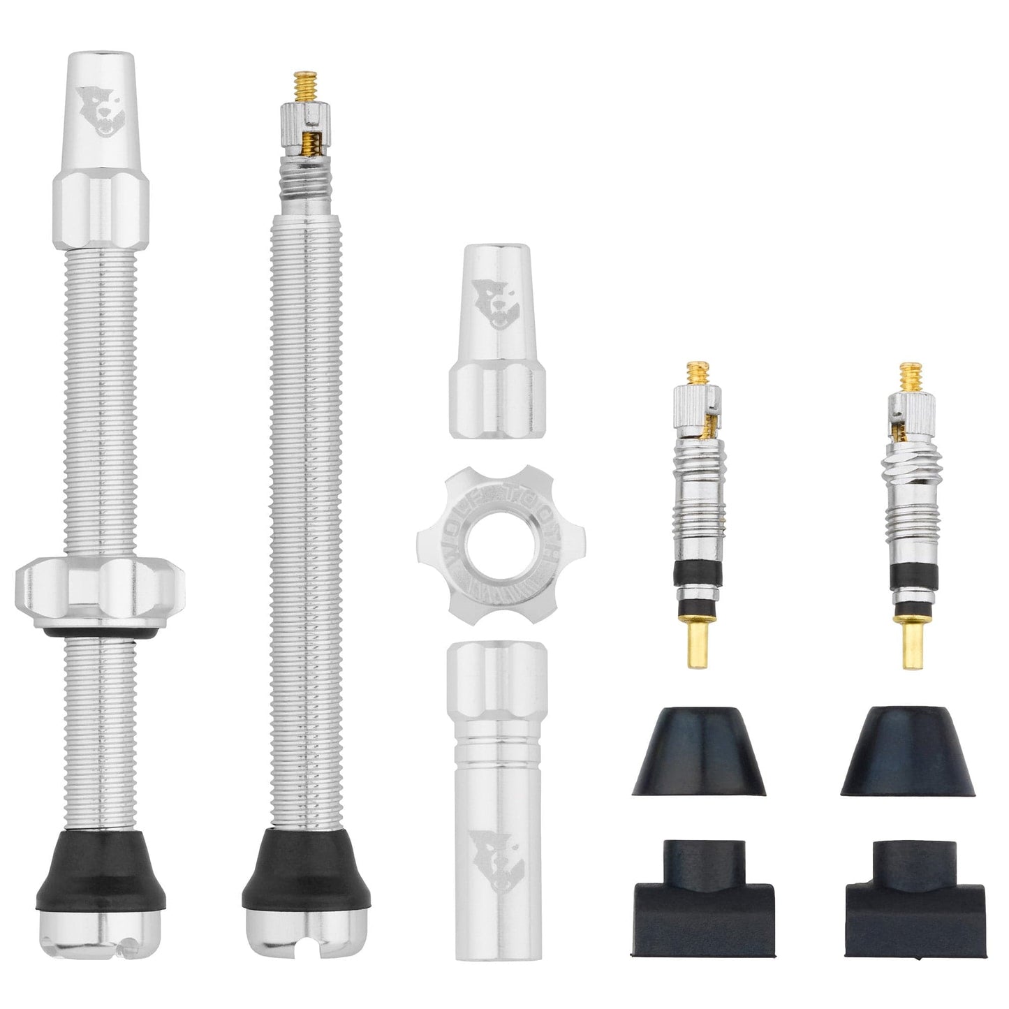 Tubeless Presta Valve Stem Kit 60mm Raw Silver