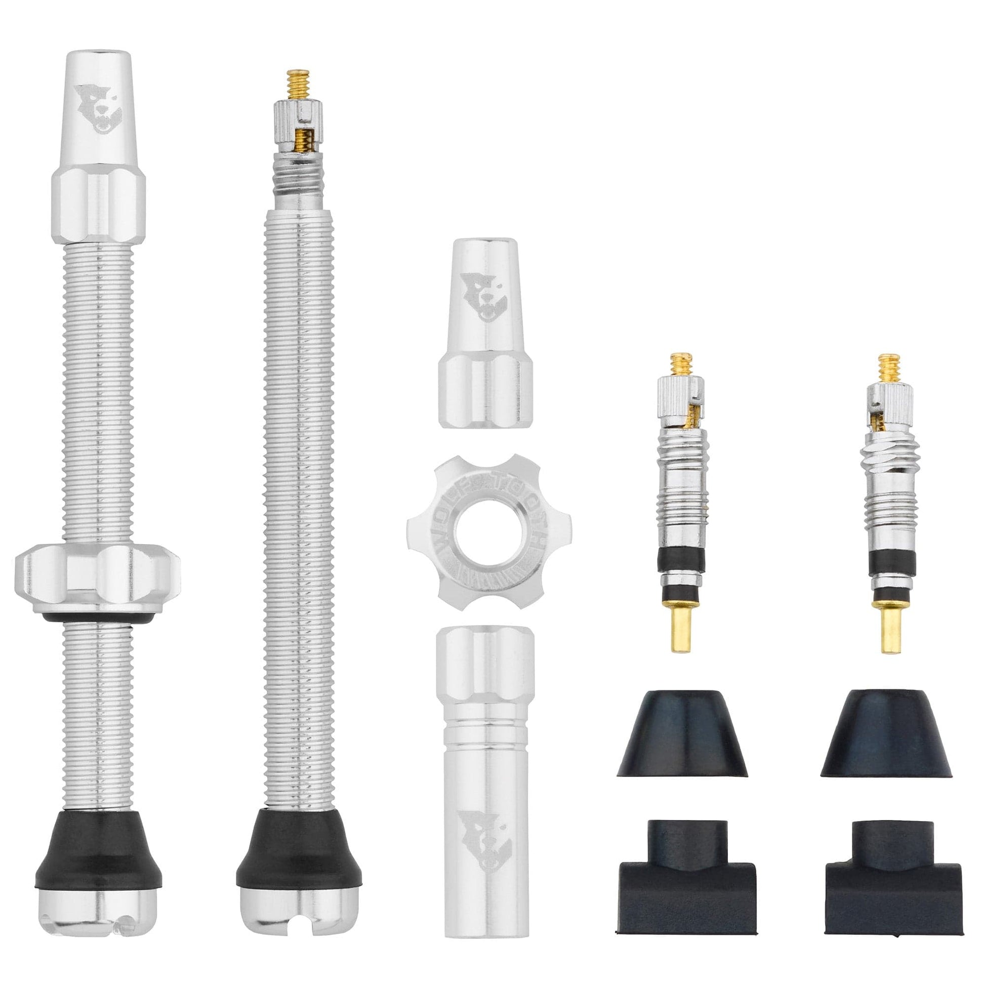 Tubeless Presta Valve Stem Kit 60mm Raw Silver
