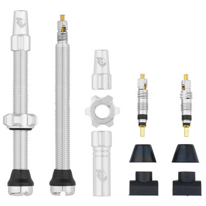 Tubeless Presta Valve Stem Kit 60mm Raw Silver
